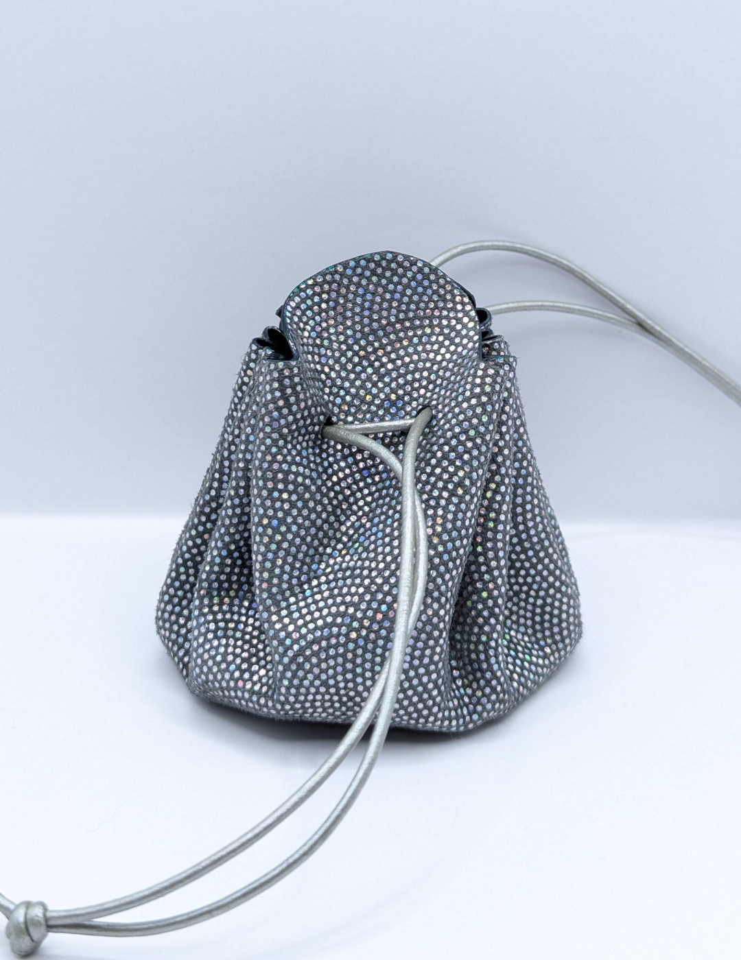 Grande bourse Argenté Pailleté