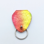 Étui à médiator Multicolore