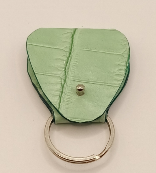 Étuis à médiator vert amande